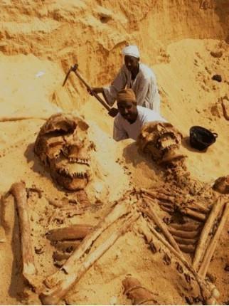 Name:  Arabian desert uncovered a skeletal remains of a human of phenomenal size.jpg
Views: 1841
Size:  30.6 KB