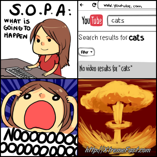 Name:  SOPA What is going to Happen, No Result for Cats.png
Views: 871
Size:  215.5 KB