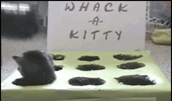Name:  whack a kitty.gif
Views: 335
Size:  1.93 MB