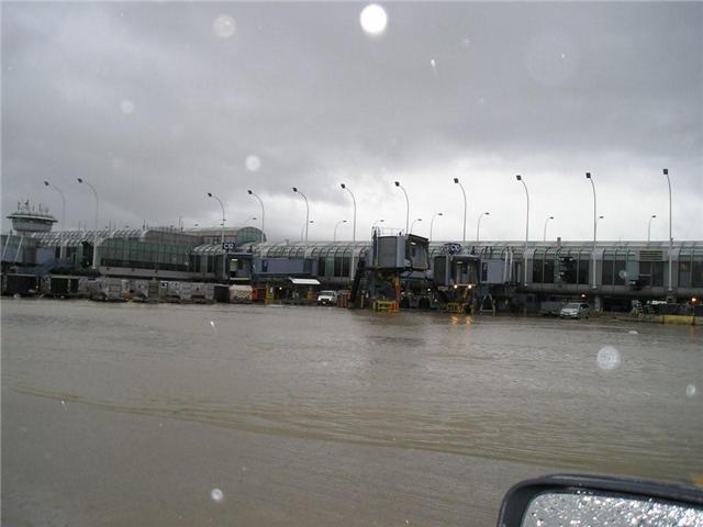 Name:  Flooded Chennai Airport............... YESTERDAY (10).jpg
Views: 2593
Size:  30.8 KB