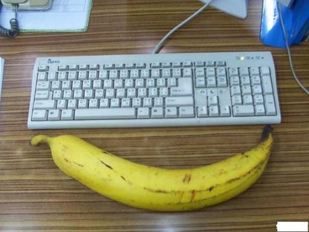 Name:  Largest Banana.jpg
Views: 4981
Size:  44.8 KB