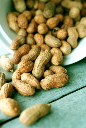 Name:  peanuts_lead_narrowweb__300x447,0.jpg
Views: 175
Size:  39.7 KB