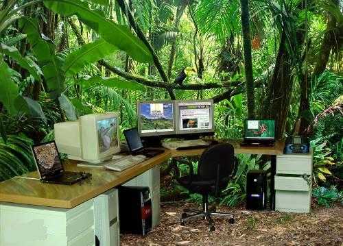 Name:  Wonder-working Office -- Very Unique Office -- Must See--.jpg
Views: 3353
Size:  39.2 KB