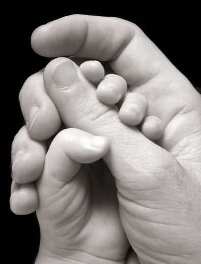 Name:  2rdhssh.jpg
Views: 6938
Size:  63.3 KB