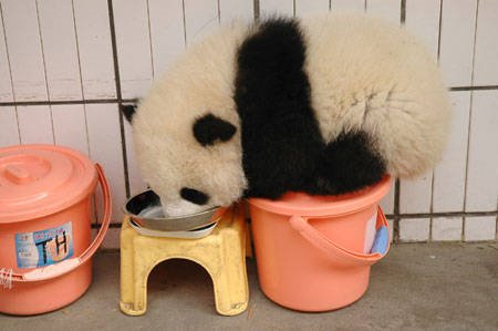 Name:  download_014.jpg
Views: 304
Size:  21.6 KB