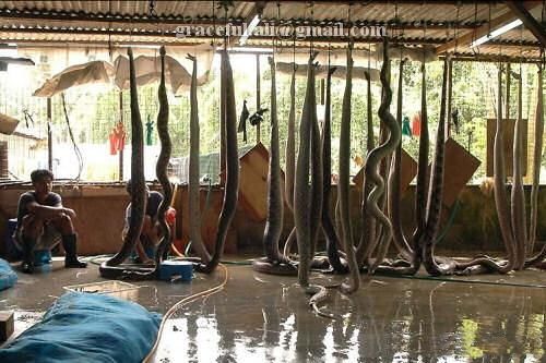 Name:  download_004.jpg
Views: 431
Size:  49.2 KB