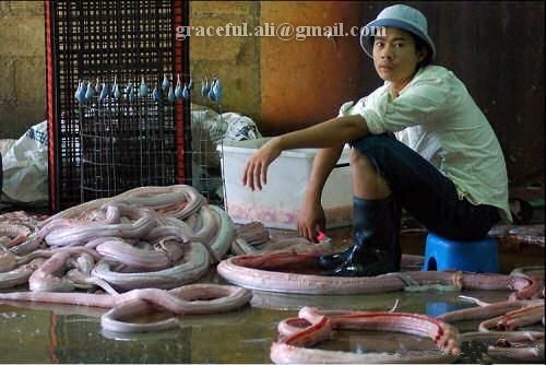 Name:  download_007.jpg
Views: 410
Size:  38.5 KB