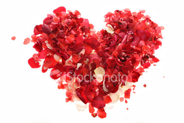 Name:  2.jpg
Views: 254
Size:  39.6 KB