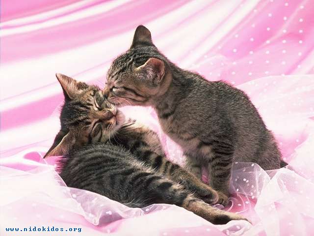 Name:  1.jpg
Views: 541
Size:  47.3 KB