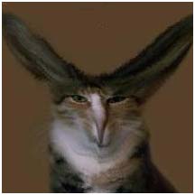 Name:  FlopperDoodle_Cat.jpg
Views: 489
Size:  12.0 KB