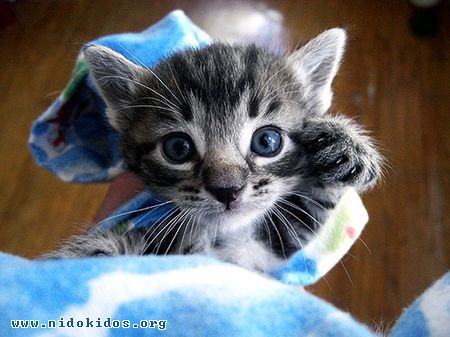 Name:  1.jpg
Views: 876
Size:  33.1 KB