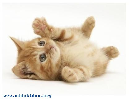 Name:  1.jpg
Views: 895
Size:  13.7 KB