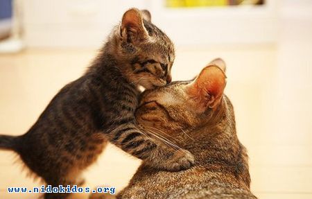 Name:  1.jpg
Views: 761
Size:  23.1 KB