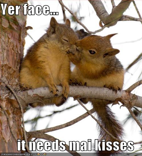 Name:  funny-pictures-kissing-squirrels-tree1.jpg
Views: 1184
Size:  53.8 KB