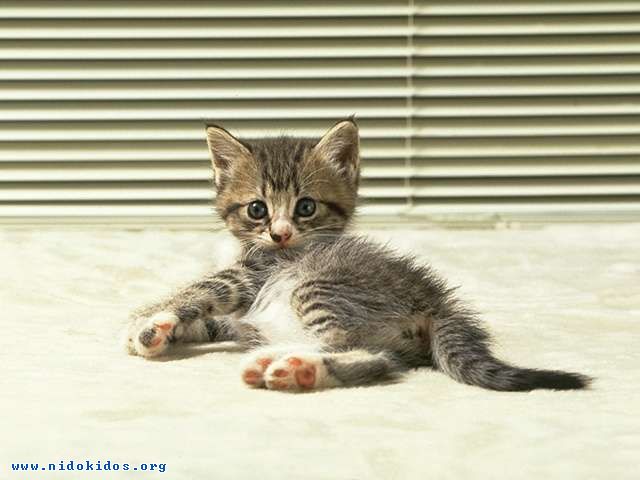 Name:  0.jpg
Views: 383
Size:  44.1 KB