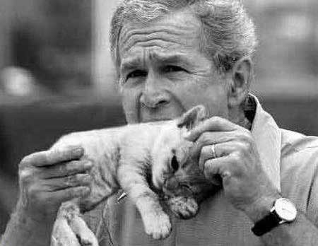 Name:  President-Bush-Eats-Kitten-1259.jpg
Views: 372
Size:  17.8 KB