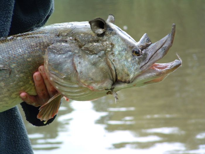 Name:  5_600.jpg
Views: 434
Size:  50.5 KB