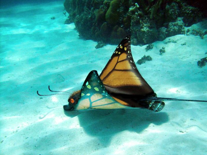 Name:  6_682.jpg
Views: 423
Size:  75.7 KB