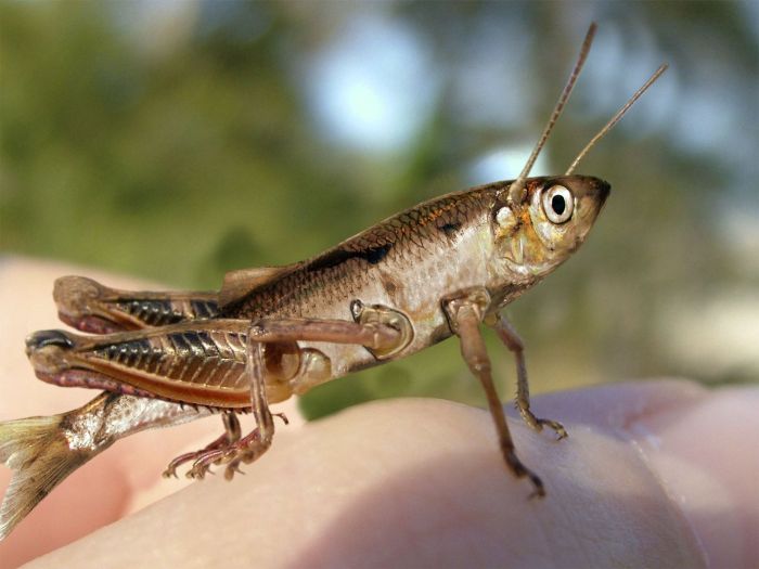 Name:  13_124.jpg
Views: 417
Size:  43.2 KB