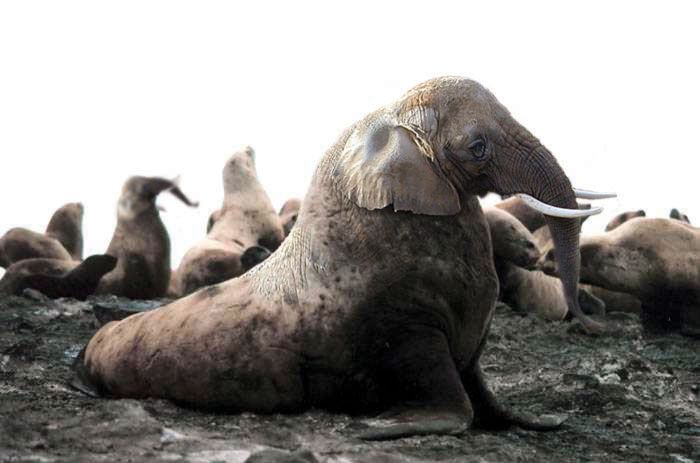 Name:  22_159.jpg
Views: 395
Size:  39.1 KB