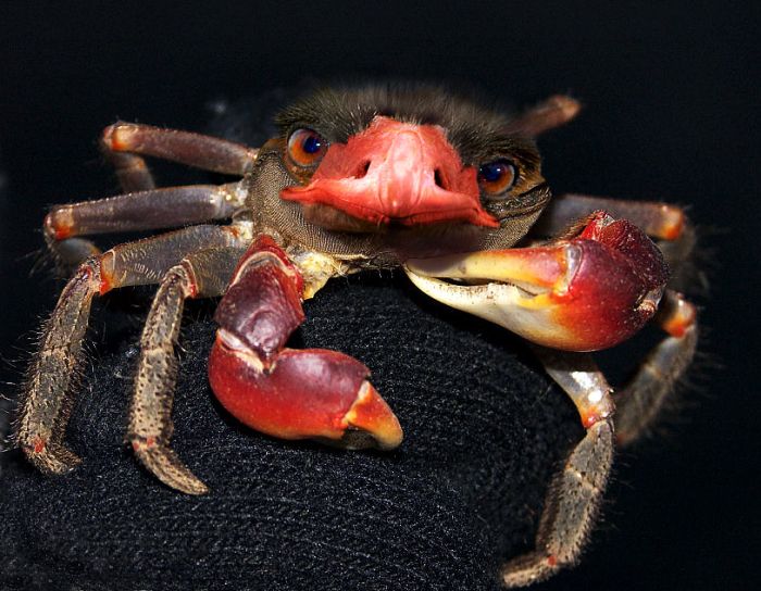 Name:  26_820.jpg
Views: 423
Size:  76.4 KB