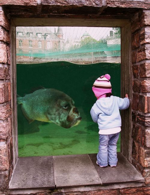 Name:  28_758.jpg
Views: 392
Size:  71.8 KB