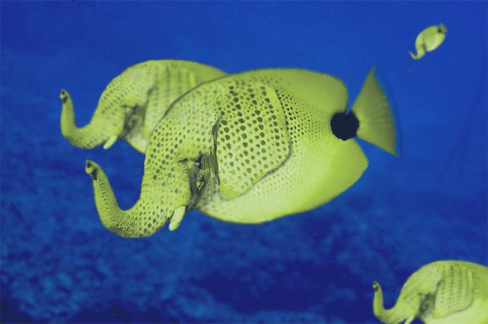 Name:  31_158.jpg
Views: 390
Size:  34.7 KB