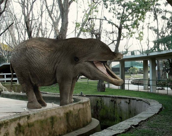 Name:  35_668.jpg
Views: 400
Size:  103.2 KB