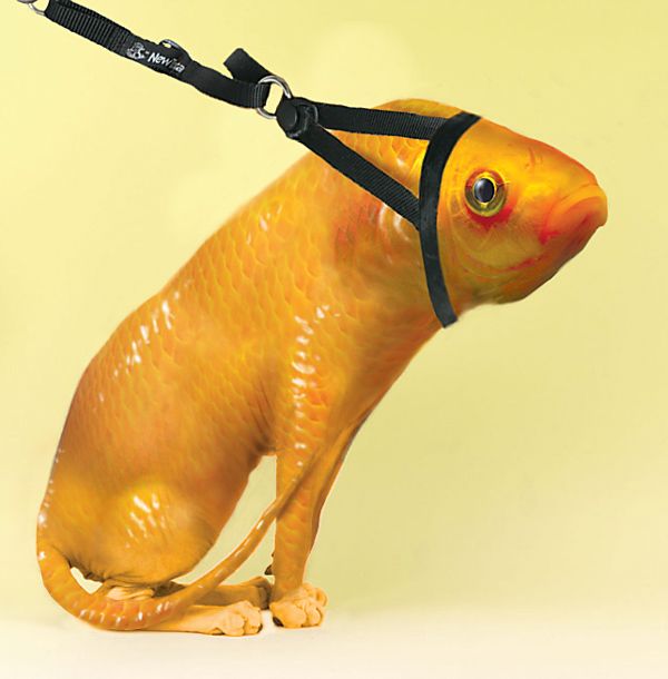 Name:  36_151.jpg
Views: 450
Size:  33.9 KB