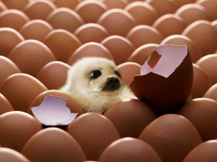 Name:  37_288.jpg
Views: 374
Size:  46.4 KB