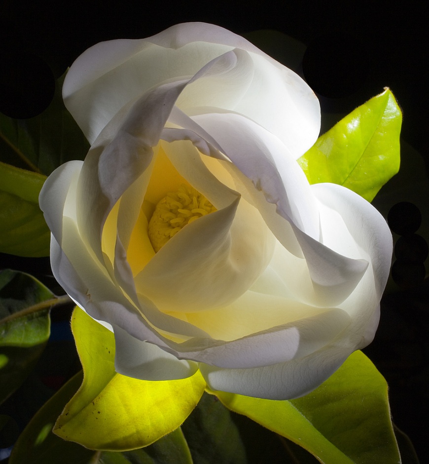 Name:  eqnmop.jpg
Views: 1357
Size:  192.8 KB