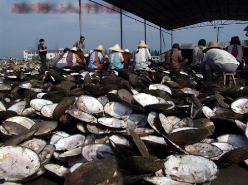 Name:  2.jpg
Views: 247
Size:  92.2 KB