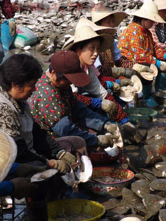 Name:  3.jpg
Views: 245
Size:  71.6 KB