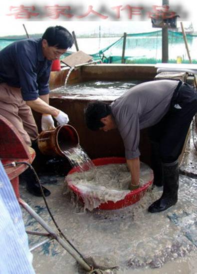 Name:  5.jpg
Views: 272
Size:  34.4 KB