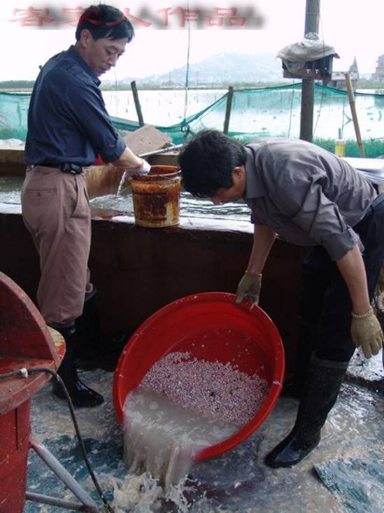 Name:  6.jpg
Views: 243
Size:  53.2 KB