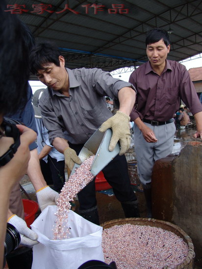 Name:  7.jpg
Views: 246
Size:  86.5 KB