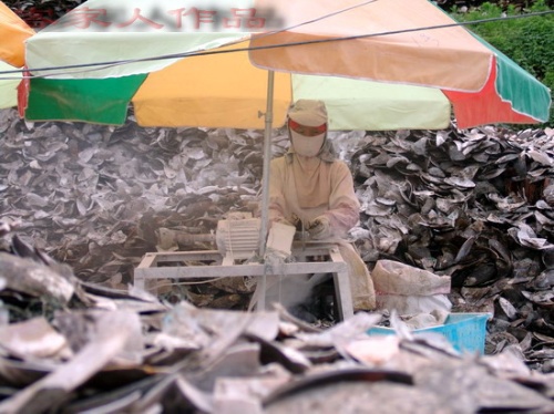 Name:  8.jpg
Views: 232
Size:  86.3 KB