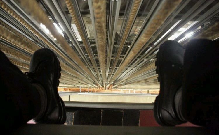 Name:  download_009.jpg
Views: 524
Size:  53.7 KB