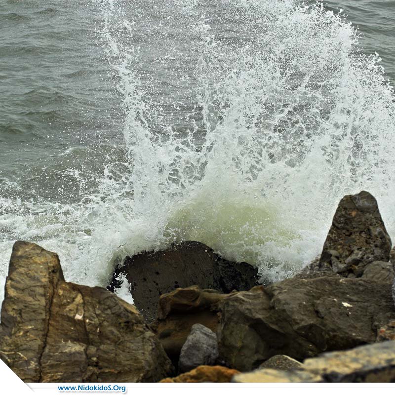 Name:  38570_1_3_229.jpg
Views: 228
Size:  177.9 KB