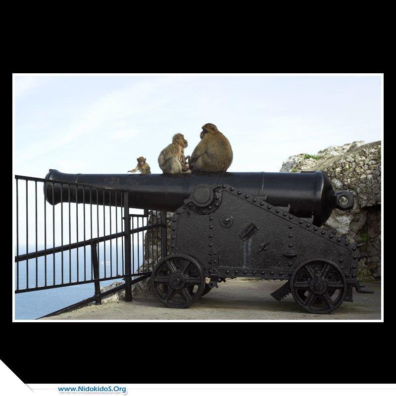 Name:  38570_1_6_184.jpg
Views: 204
Size:  82.0 KB