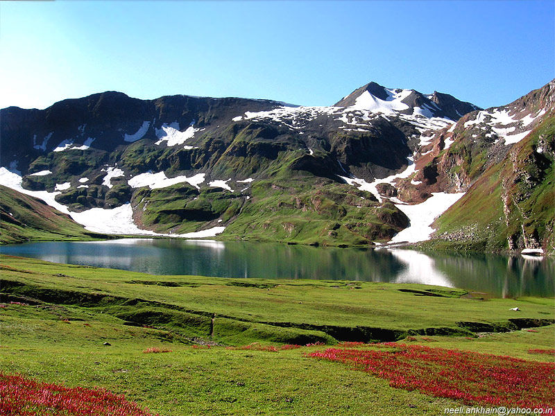 Name:  Another Beautiful meadows in Pakistan.jpg
Views: 34948
Size:  177.6 KB