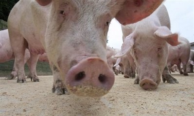 Name:  capt.photo_1240820588775-1-0.jpg
Views: 246
Size:  20.5 KB