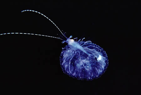 Name:  download_005.jpg
Views: 693
Size:  11.1 KB