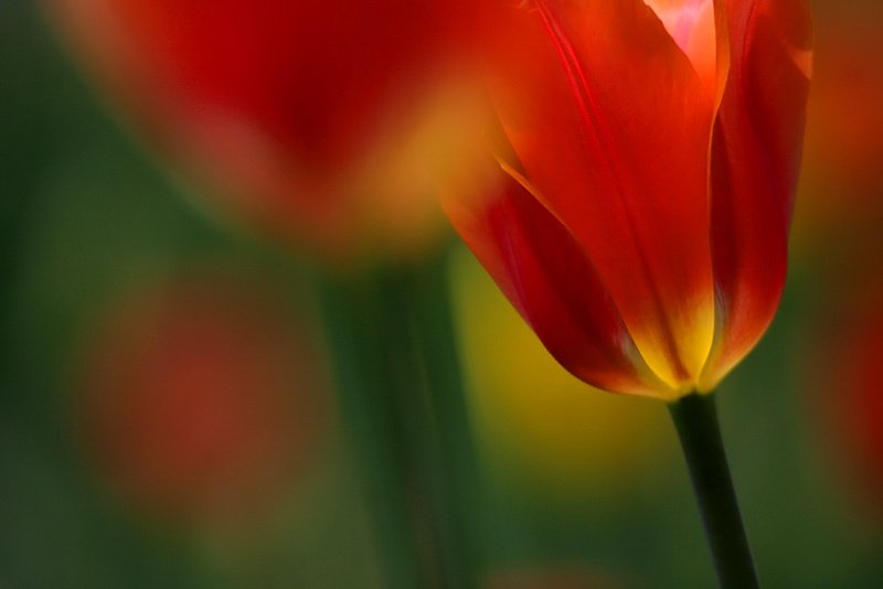 Name:  1.jpg
Views: 322
Size:  29.1 KB