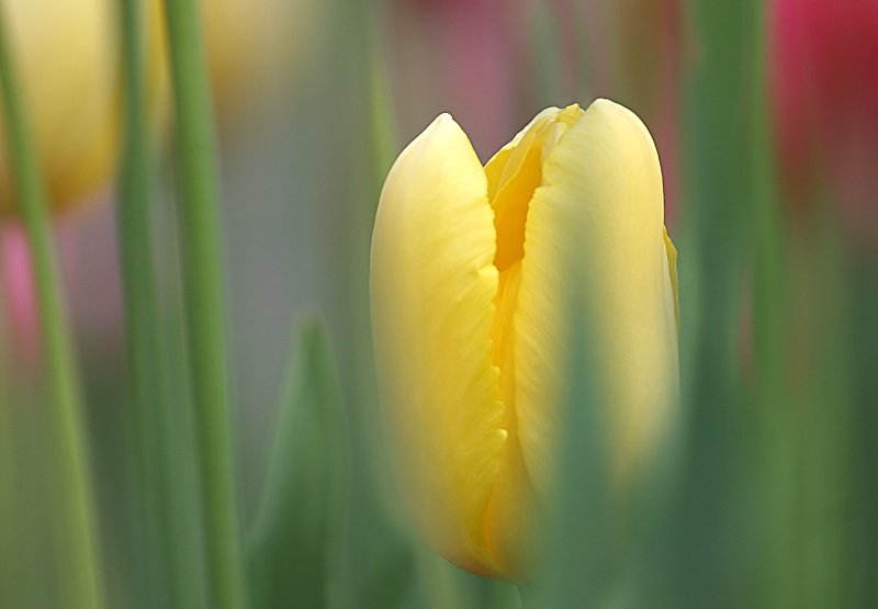 Name:  2.jpg
Views: 318
Size:  32.9 KB