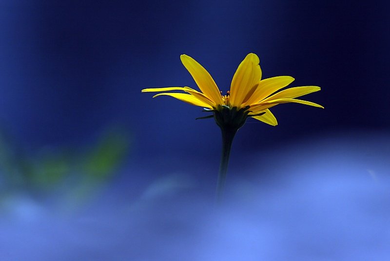 Name:  3.jpg
Views: 346
Size:  31.5 KB