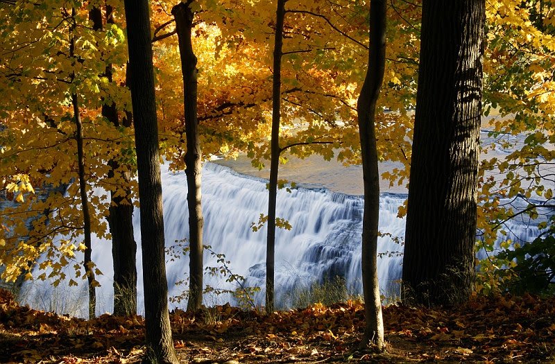 Name:  27042009021169000124082.jpg
Views: 328
Size:  180.1 KB