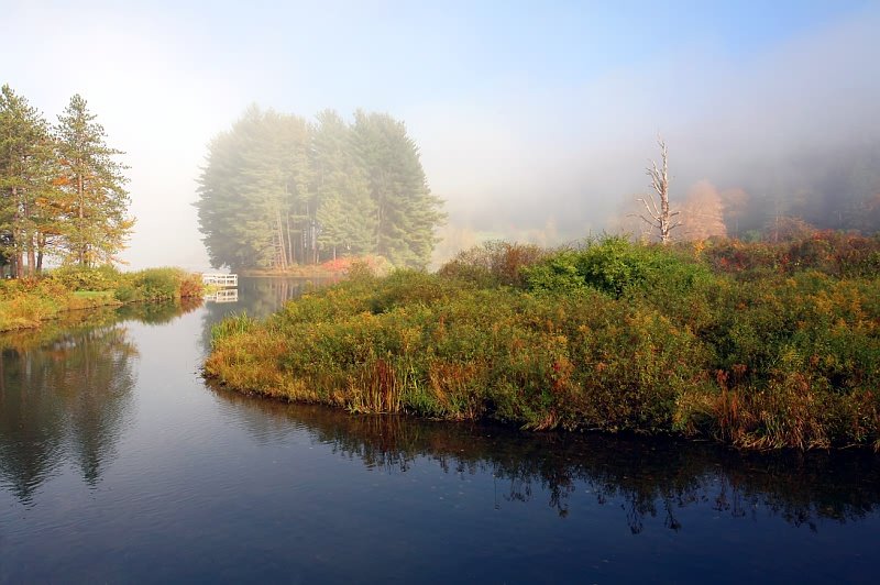 Name:  27042009021964200124082.jpg
Views: 334
Size:  84.1 KB