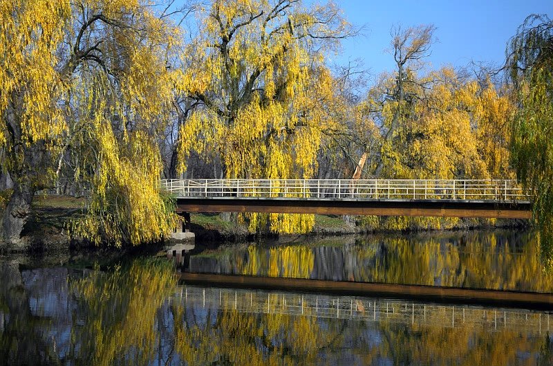 Name:  27042009024173600124082.jpg
Views: 296
Size:  182.5 KB