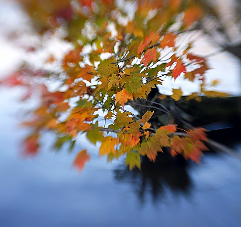 Name:  27042009027450400124082.jpg
Views: 309
Size:  89.4 KB